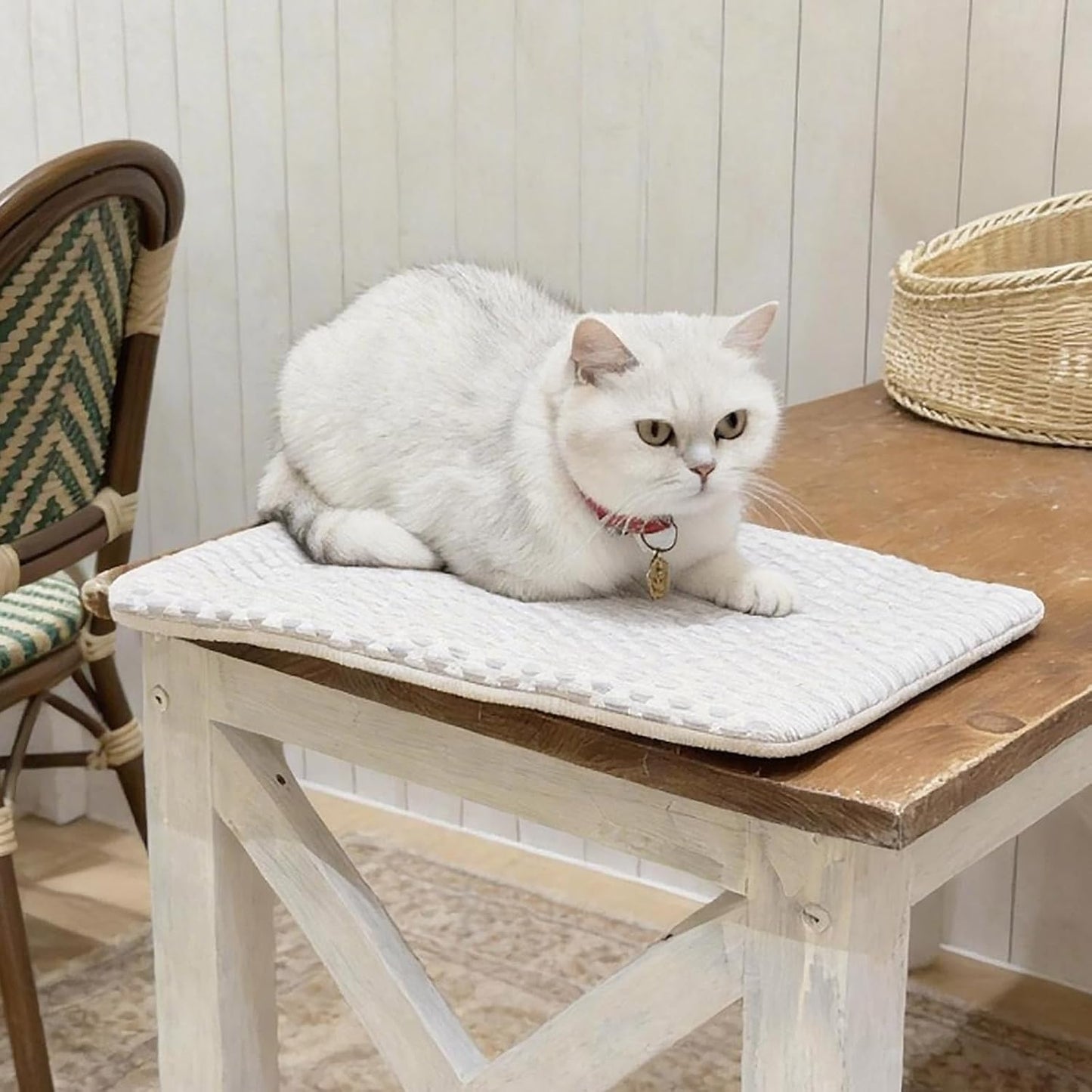 2-in-1 Self-Cooling Pet Mat for Cats & Small Dogs – Waterproof Cooling Pad