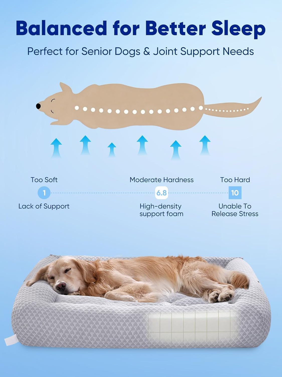 3-in-1 Large Dog Cooling Bed – Arc Chill