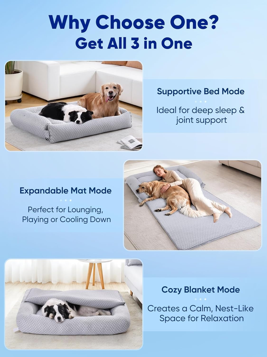 3-in-1 Large Dog Cooling Bed – Arc Chill