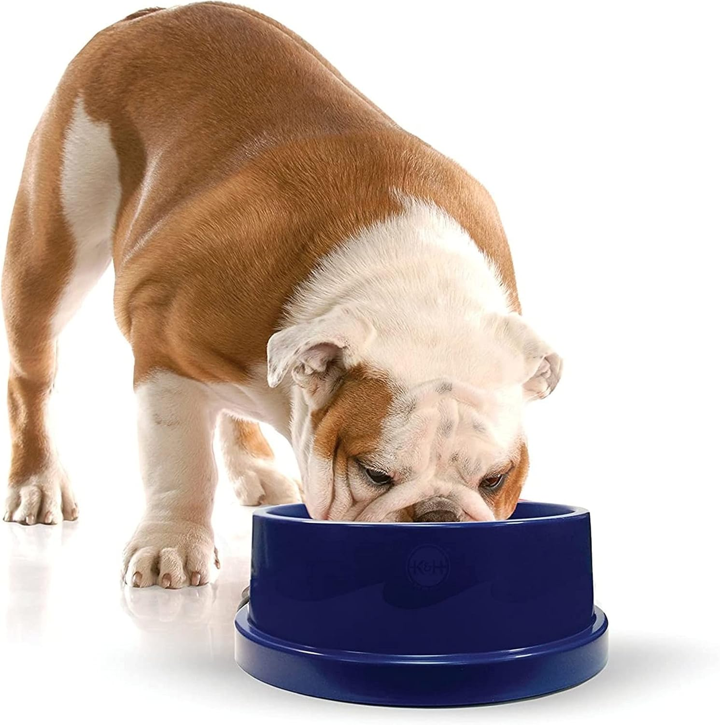 Insulated Cooling Pet Water Bowl – 96 oz Ice-Cold Water Bowl for Dogs and Cats