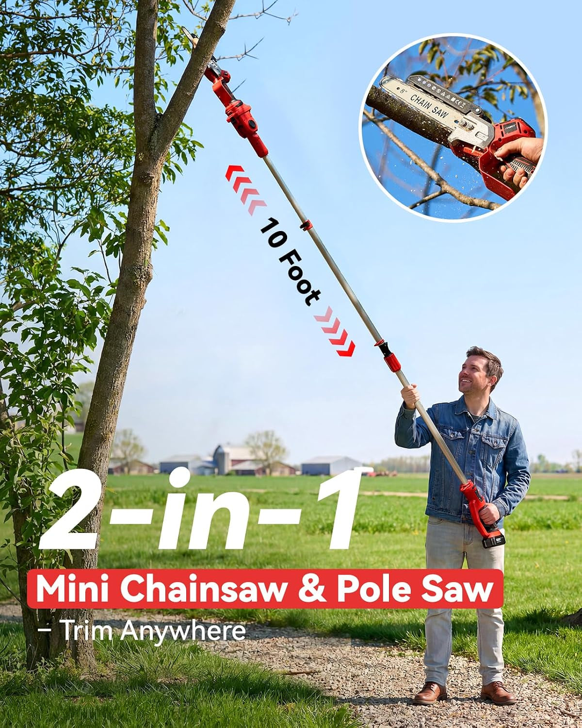 2-in-1 Cordless Pole Saw & Mini Chainsaw – 8-Inch Brushless Electric Chainsaw with Telescopic Pole